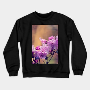 Raindrops on a Pink Rhododendron Crewneck Sweatshirt